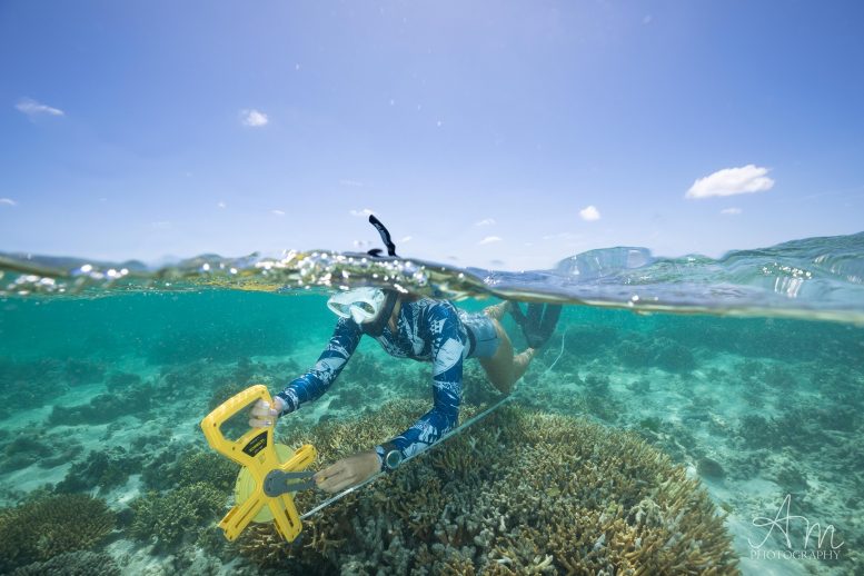 Conducting a Benthic Survey at Heron Island, Great Barrier Reef