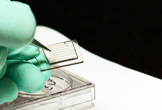 experimental-carbon-solar-cell experimental-carbon-solar-cell