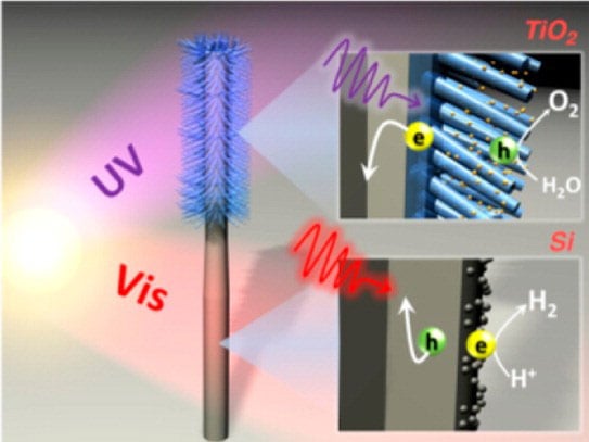 First Fully Integrated Artificial Photosynthesis Nanosystem