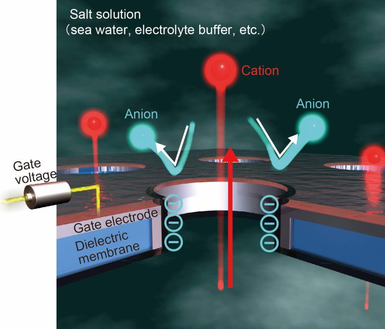 Gate Voltage Control of Ion Selectivity in a Nanopore