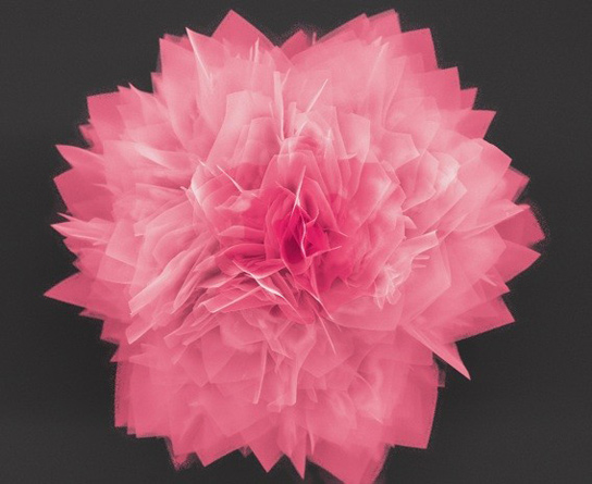 germanium-sulfide-nanoflower germanium-sulfide-nanoflower