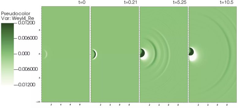 Gravitational-Wave Radiation Leaving the Collapsed Remnant of a Warp Bubble
