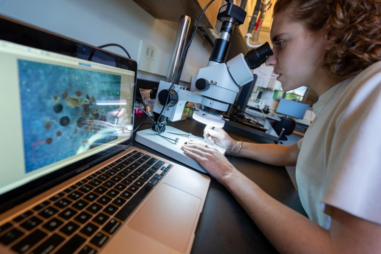 Halley Mastro in Lab