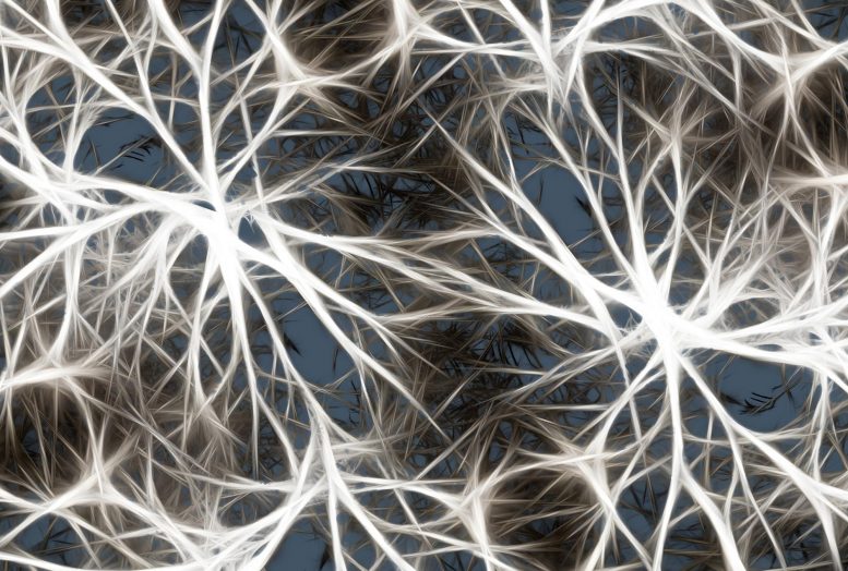 Illustration Brain Synapses