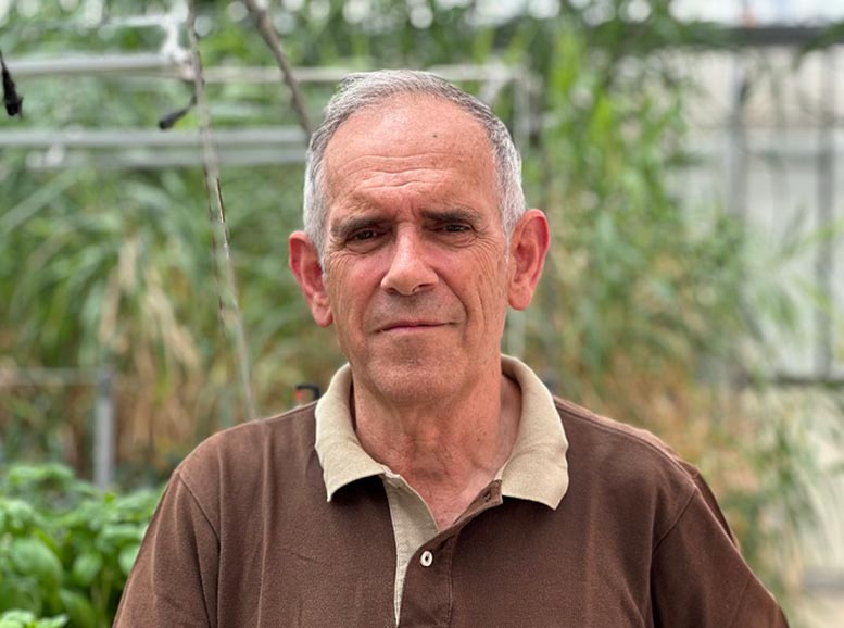 Josep Lluís Araus