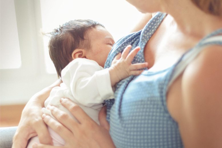Mother Breastfeeding