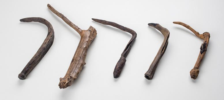 Neolithic Agricultural Remnants