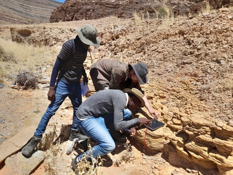Researchers Examine Evidence of Animal Fossils in Namibia