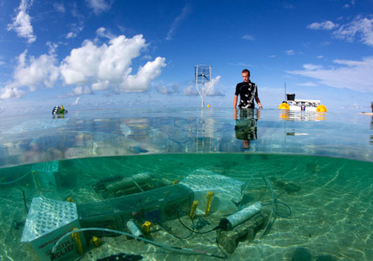 Stanford researchers help predict the oceans of the future Stanford researchers help predict the oceans of the future