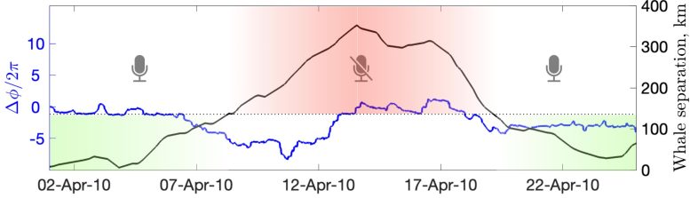 Synchronization of Whale Behavior