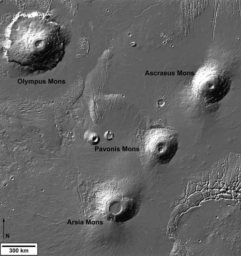 Tharsis Montes Trio and Olympus Mons