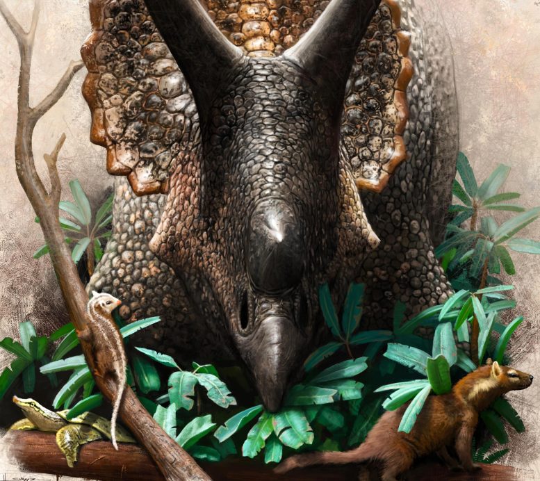 Triceratops prorsus Munching on Cycads